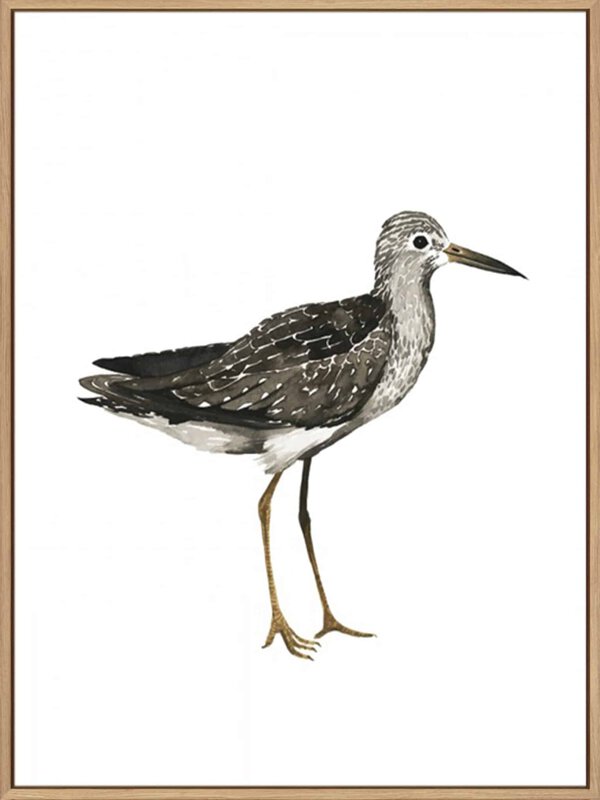 Sea Bird III - Canvas Gallery Natural