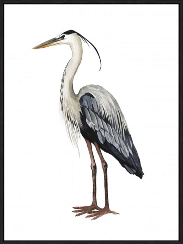 Sea Bird I - Canvas Gallery Black