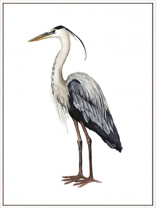 Sea Bird I - Canvas Gallery White
