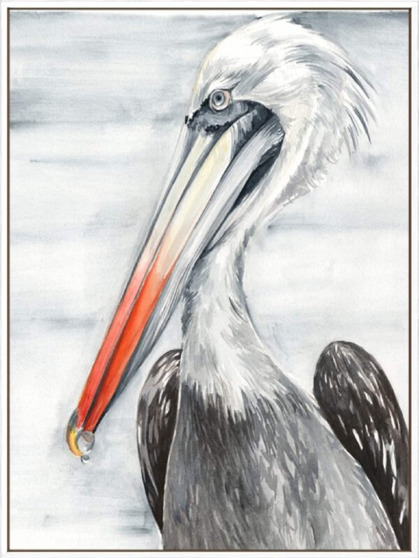 Grey Pelican II - Canvas Gallery White