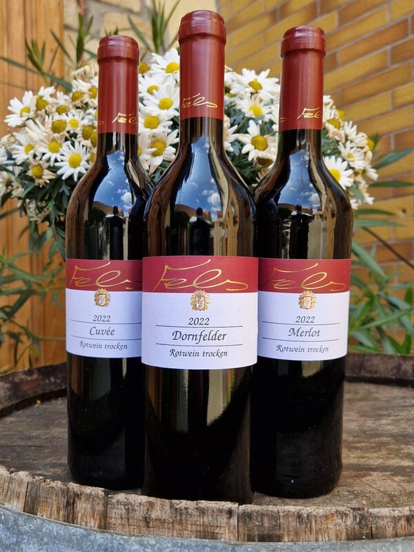 Weingut Fels Probierpaket 4 Rotwein trocken