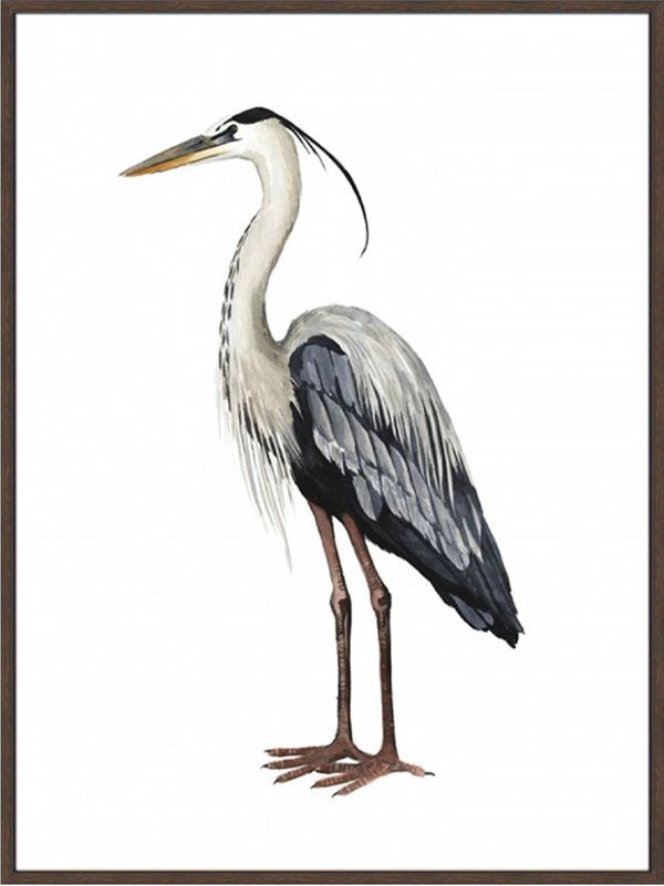 Sea Bird I - Canvas Gallery Walnut
