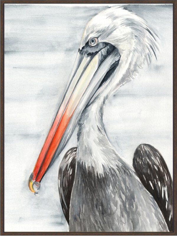 Grey Pelican II - Canvas Gallery Walnut