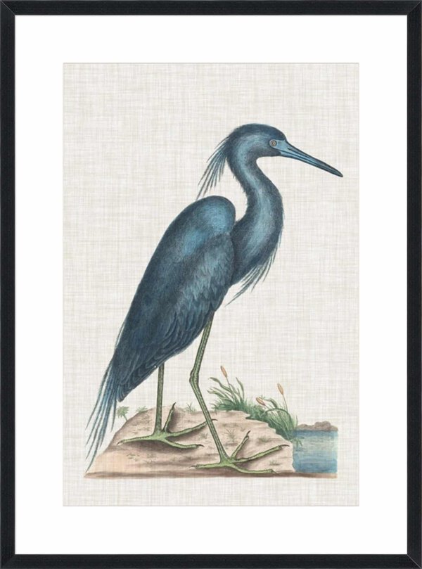 Catesby Heron II - 10cm Mount Board Lg. Black Woodgrain