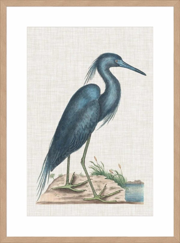 Catesby Heron II - 10cm Mount Board Lg. Box Natural