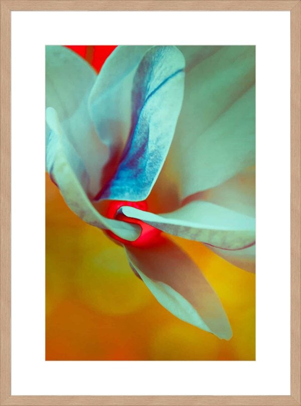 Teal Splash - 10cm Mount Board Lg. Box Natural