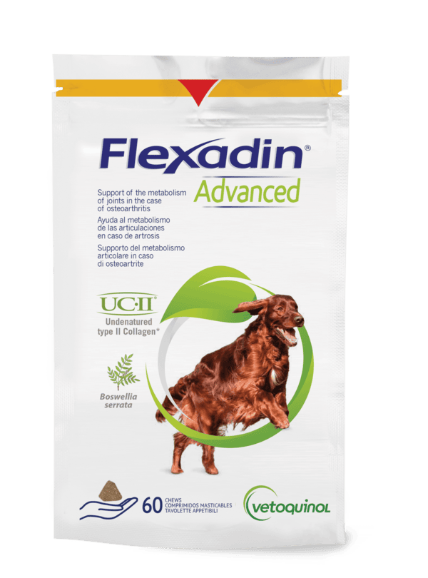 Equistro Flexadin Advanced – Chien