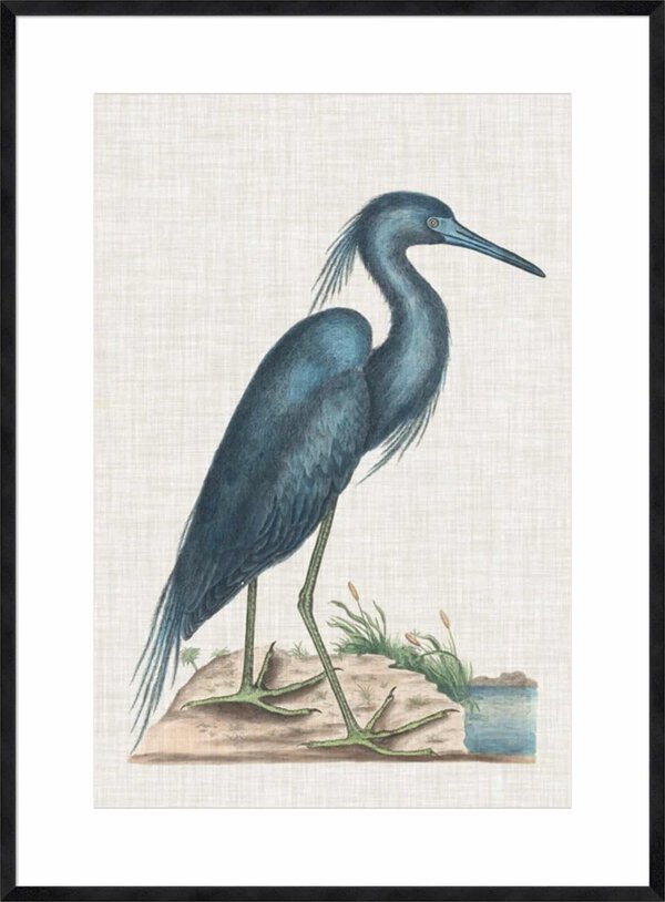 Catesby Heron II - 10cm Mount Board Sm. Black Woodgrain