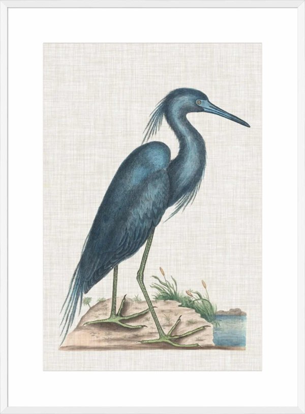 Catesby Heron II - 10cm Mount Board Box White