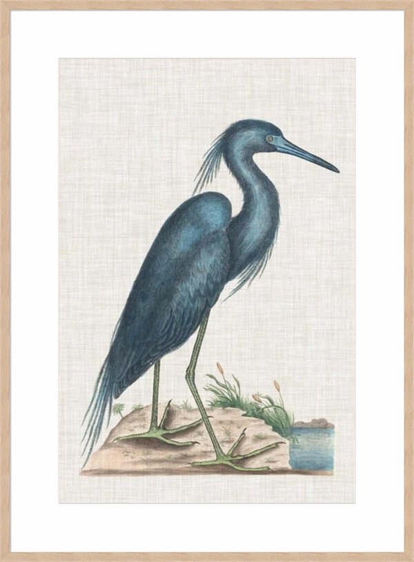 Catesby Heron II - 10cm Mount Board Box Natural