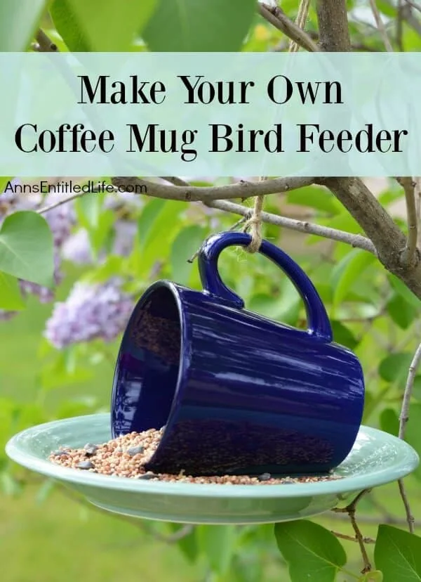 coffee cup bird feeder