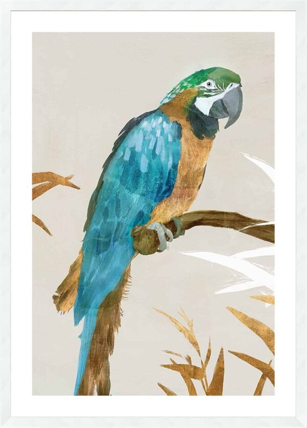 Blue Parrot I - 5cm White Border