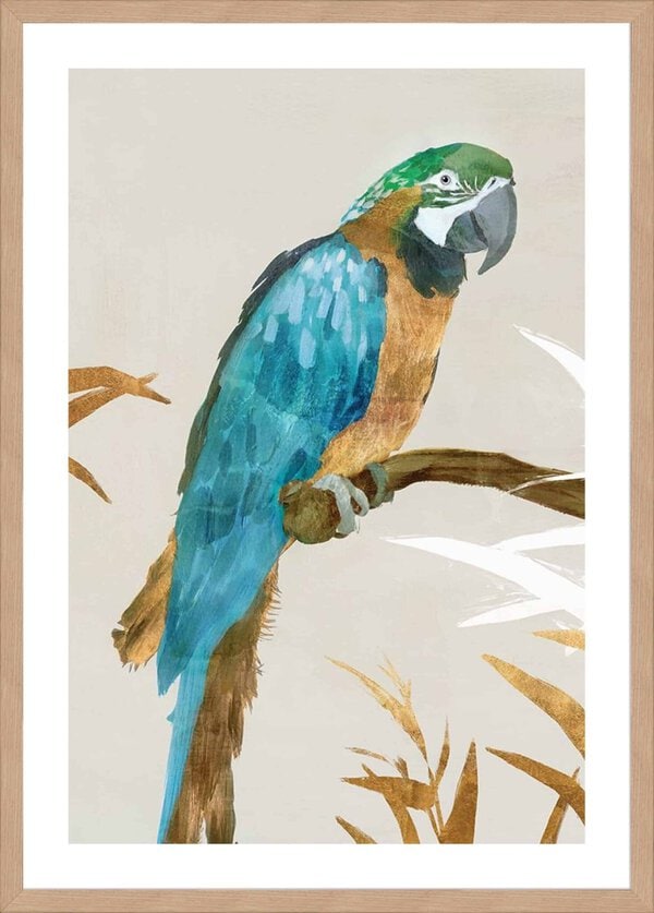 Blue Parrot I - 5cm White Border - Image 2