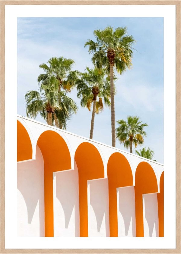 Palm Springs I - 5cm White Border