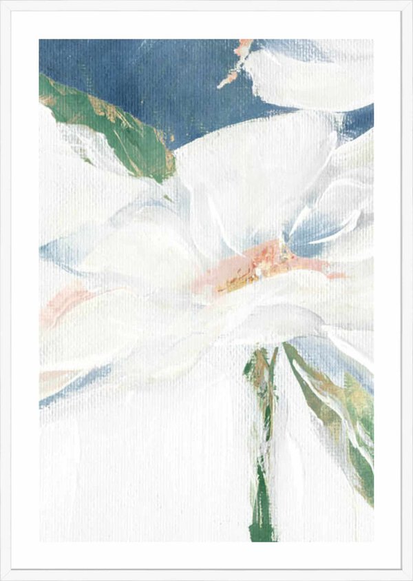 Single Daisy I - 5cm White Border Box White