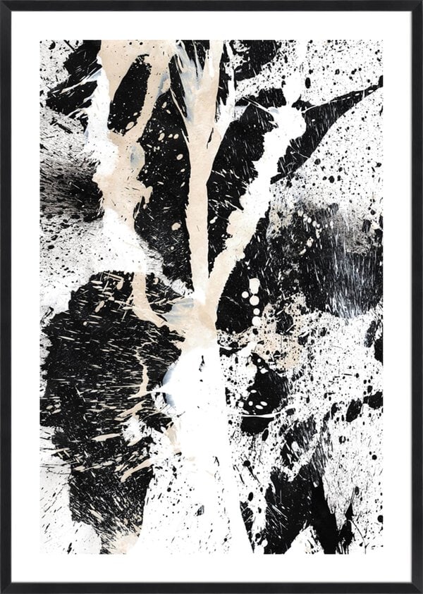 Bone 14 - 5cm White Border Box Black