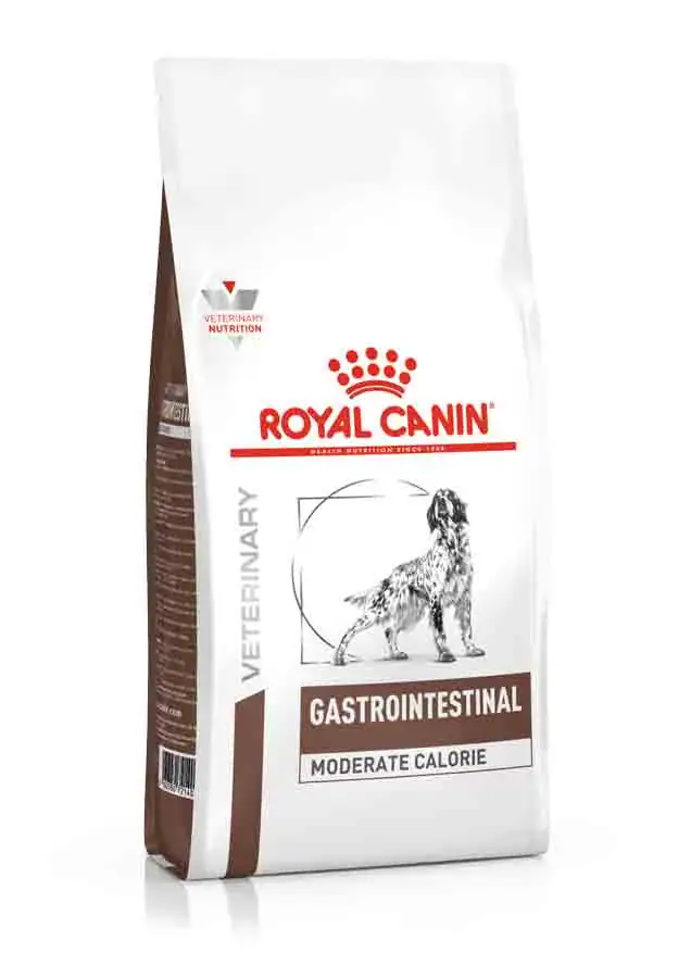 Royal Canin Veterinary Chien Gastrointestinal Moderate Calorie