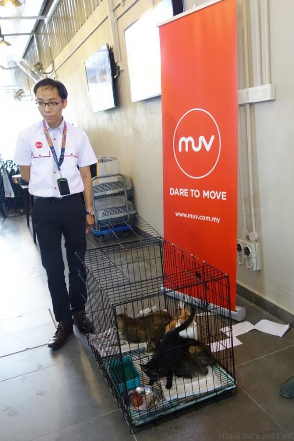 muv-3