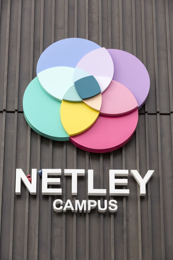 External brand identity sign for Netley Campus applied to a brown textured surface. The design consists a of petal shaped logotype made from four overlapping circles in blue, purple, pink and green, to create a further four petals where the circles overlap in varying pastel shades. The Netley Campus name is arranged underneath the logo type in individual white letters