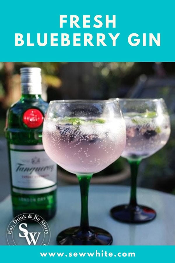 fresh blueberry gin ideas