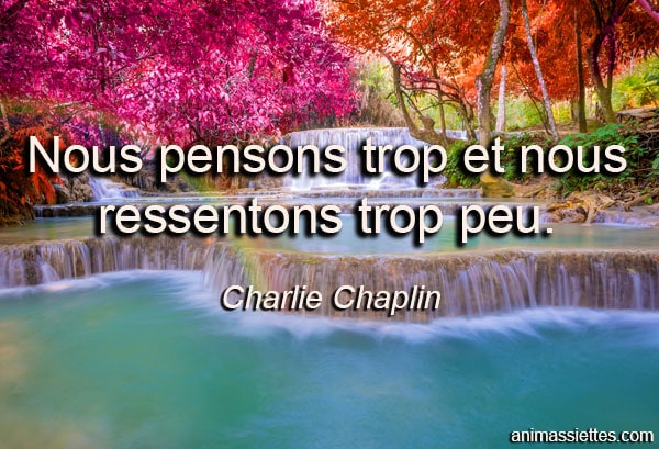 quote
