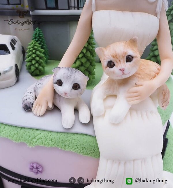 เค้ก 3 มิติ ผู้หญิง