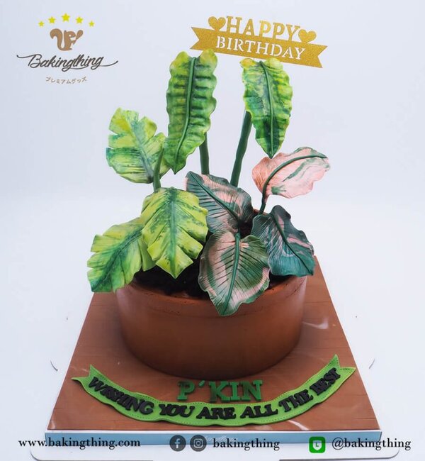 เค้ก 3 มิติ ต้นไม้