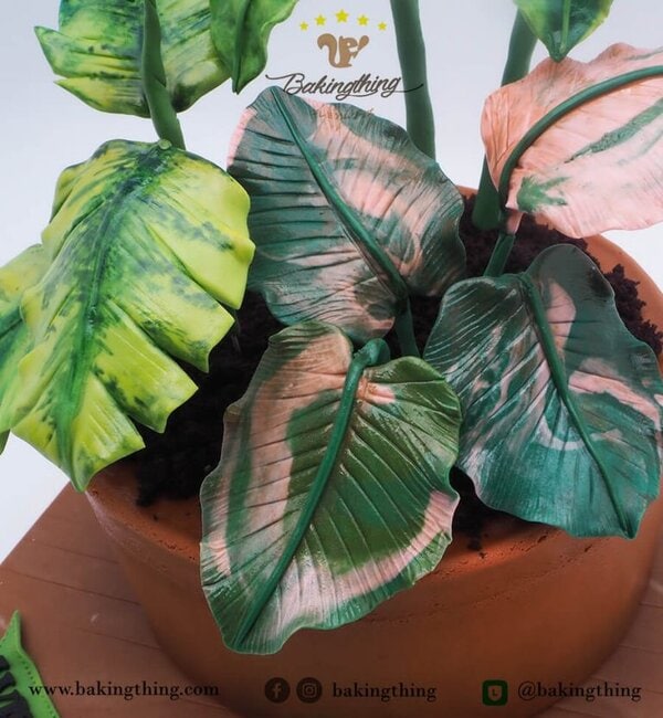 เค้ก 3 มิติ ต้นไม้