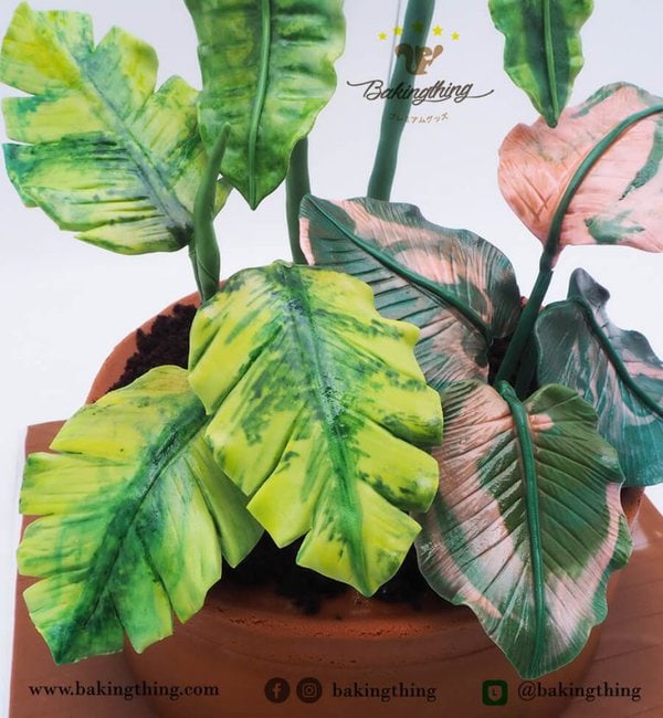 เค้ก 3 มิติ ต้นไม้