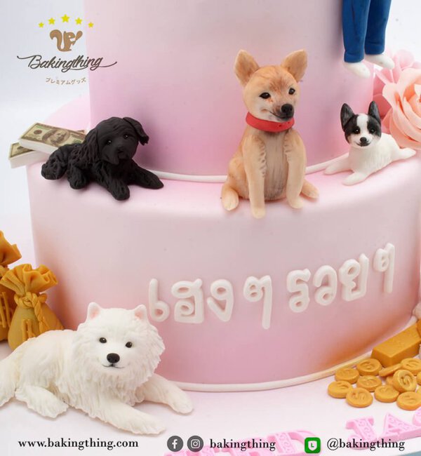 เค้ก 3 มิติ ผู้หญิง รักหมา