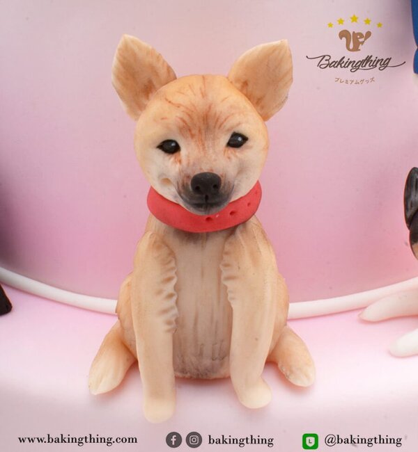 เค้ก 3 มิติ ผู้หญิง รักหมา