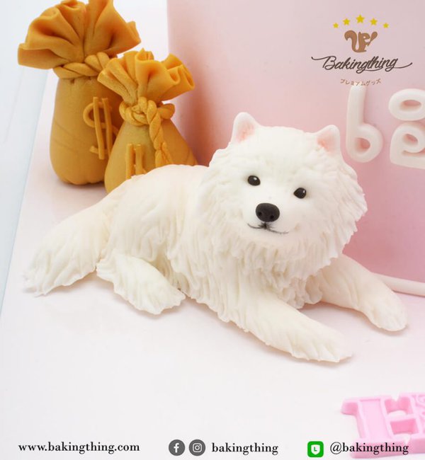 เค้ก 3 มิติ ผู้หญิง รักหมา