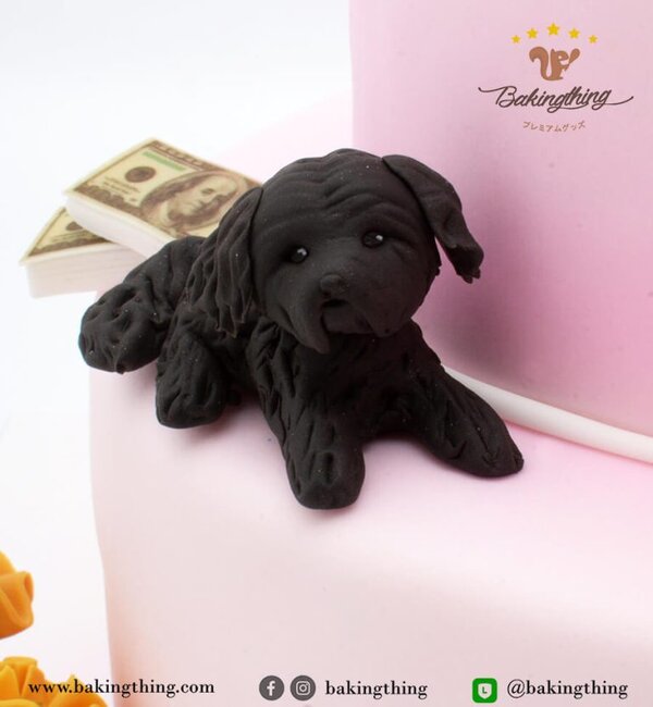 เค้ก 3 มิติ ผู้หญิง รักหมา