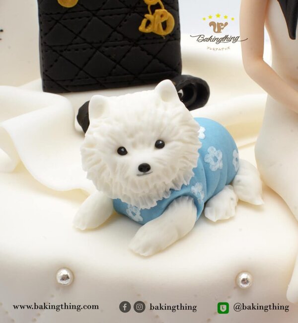 เค้กการ์ตูน หญิง