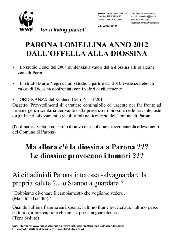 Sagra di Parona 2012