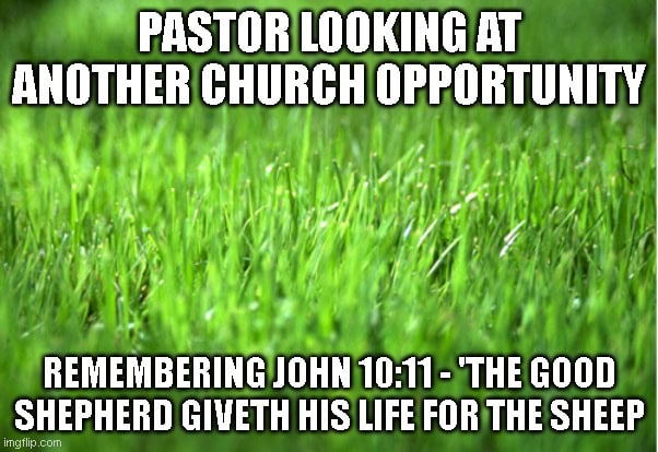 The Faithful Shepherd