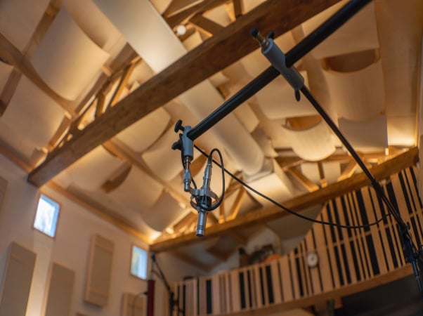 Studio Acoustics, Acoustics Specialty