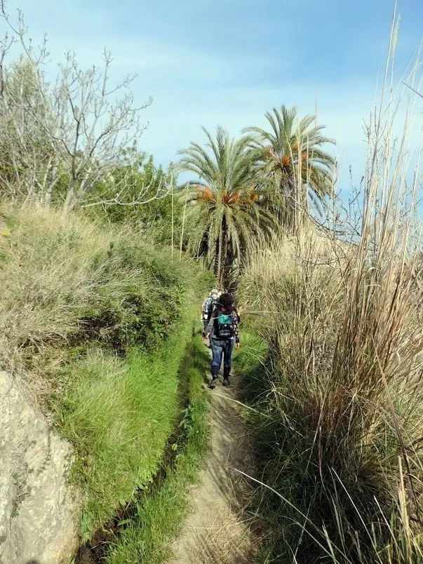 Acequia