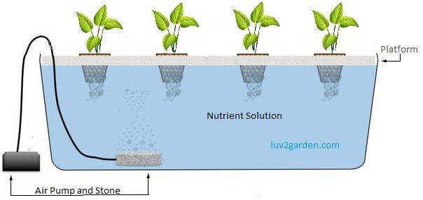 what is deep water culture system what is deep water culture system