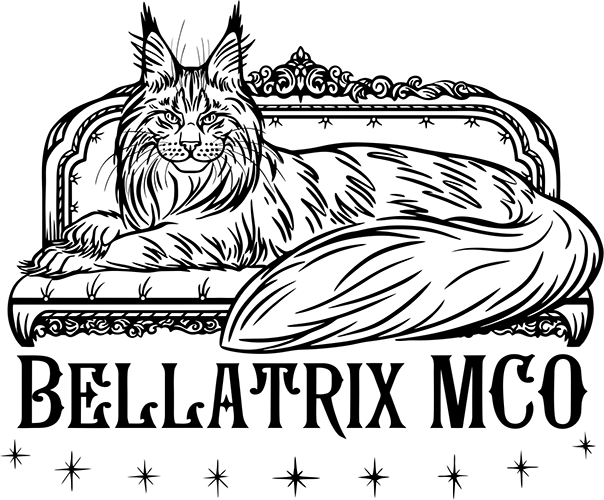 Contact - logo