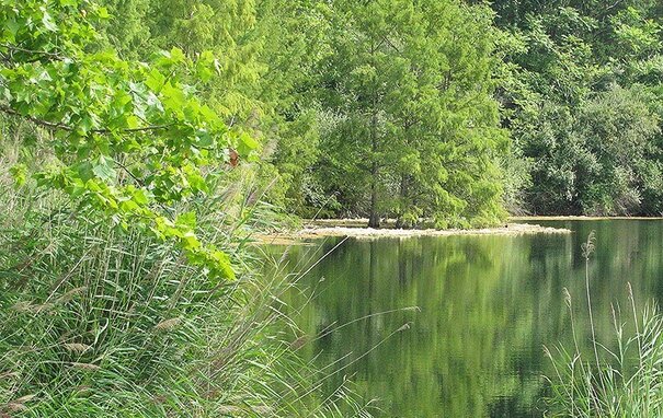 VERMILION COUNTY CAMPING | 3 CAMPGROUNDS NEAR DANVILLE THAT EVERYONE WILL LOVE 5_2021 vermillion county camping