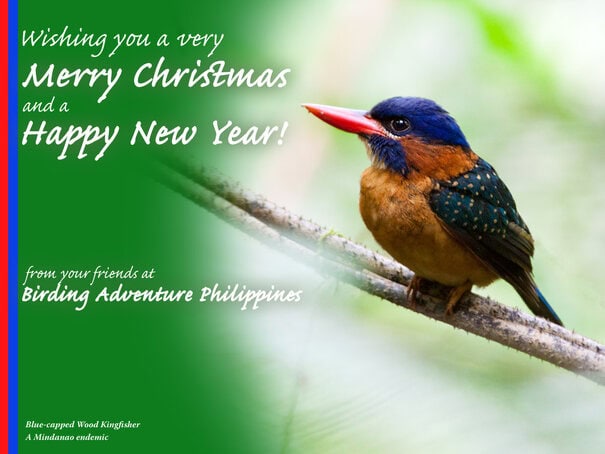 Merry Christmas and Happy New Year from your friends at Birding Adventure Philippines!