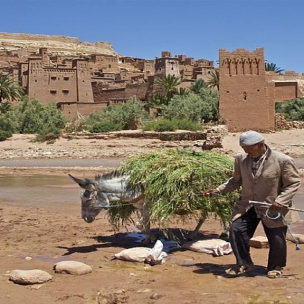 10 days tour tour from Casablanca