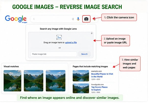 Reverse image search