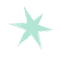 Small teal star graphic