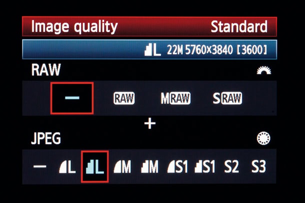 RAW ist nicht RAW und unterscheidet sich sogar in einer Herstellerwelt voneinander (Abb.: Jill Ehrat via digitalphoto.de)
