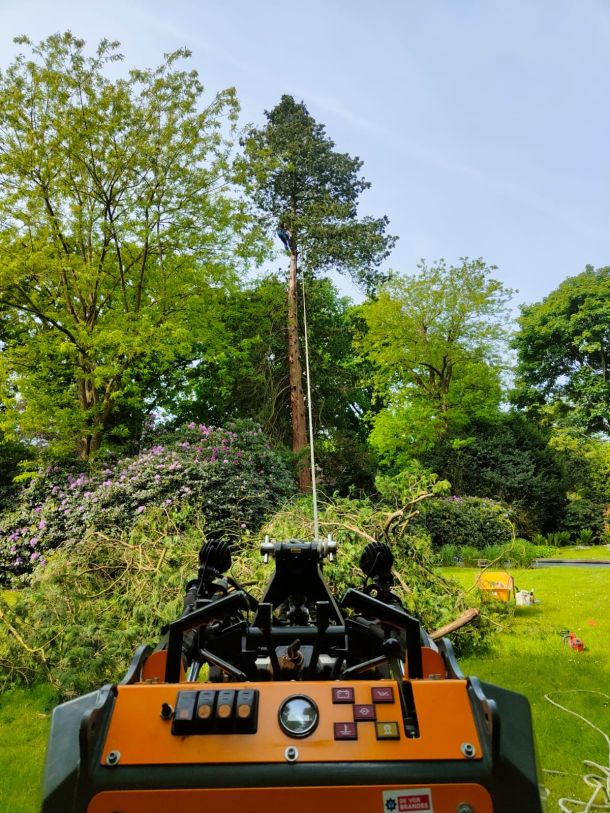 Bomen kappen door Hans Boogaard Boomverzorging