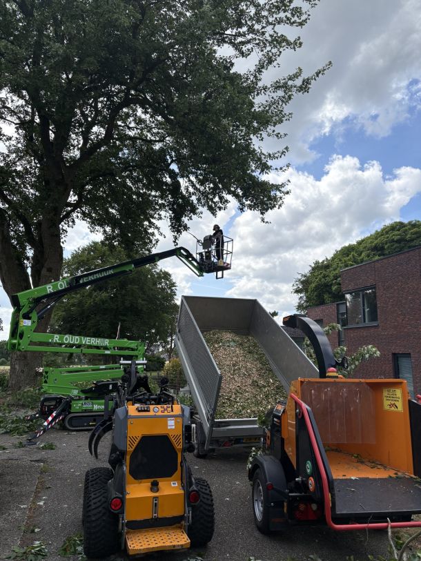 Boomverzorging kappen van bomen door Hans Boogaard boomverzorging