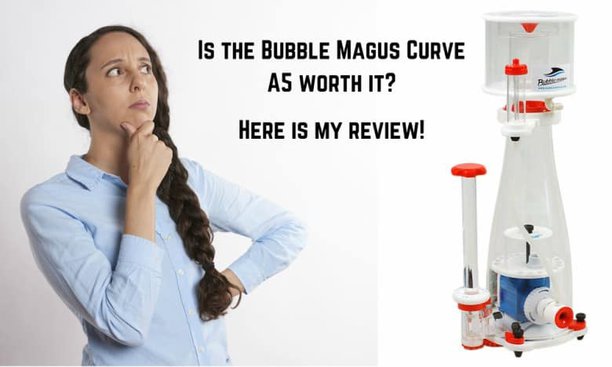 bubble magus curve a5 review