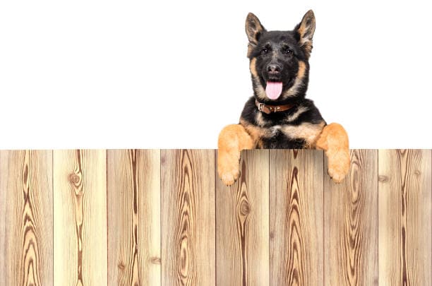 istockphoto 1138614322 612x612 1 - Seaside Fencing istockphoto 1138614322 612x612 1